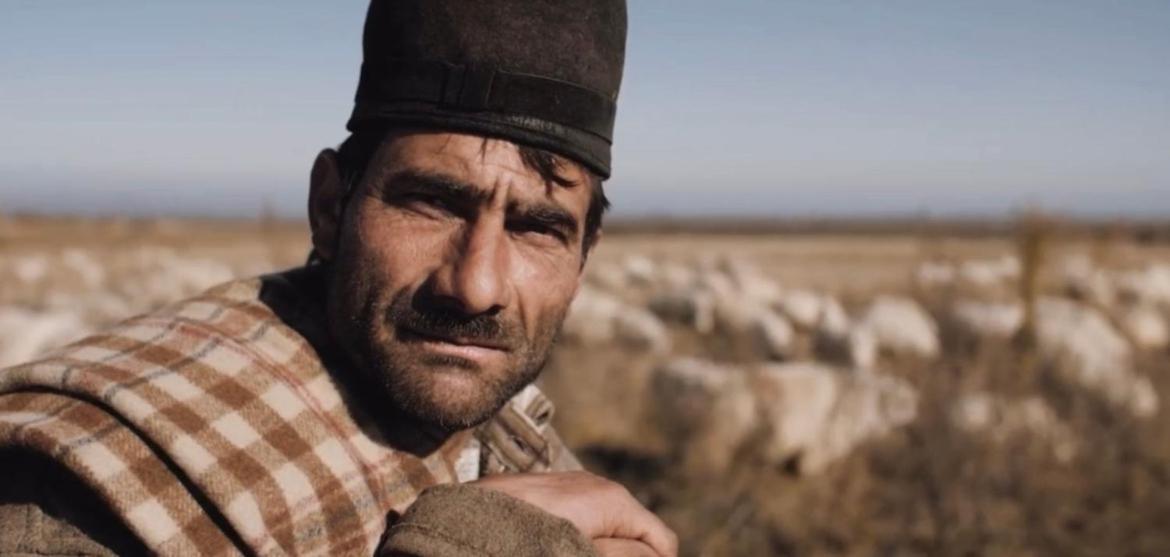 فندق Valea Salbatica Sinca Noua المظهر الخارجي الصورة