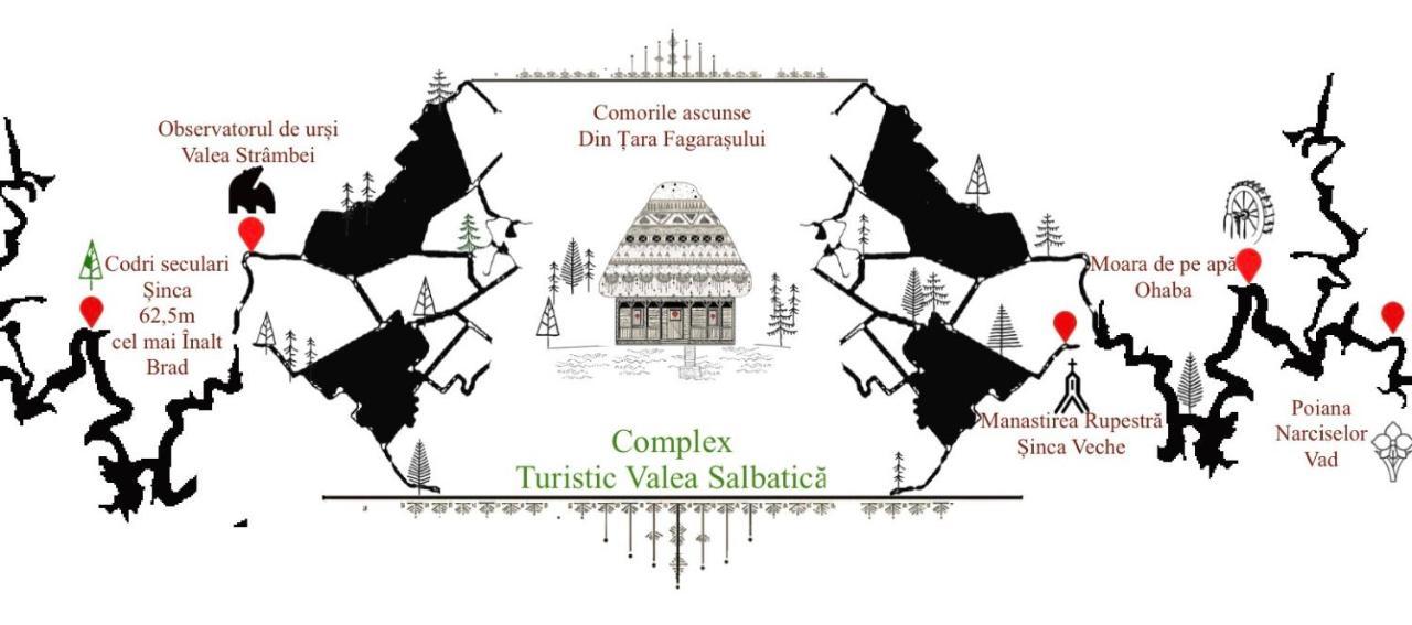 فندق Valea Salbatica Sinca Noua المظهر الخارجي الصورة