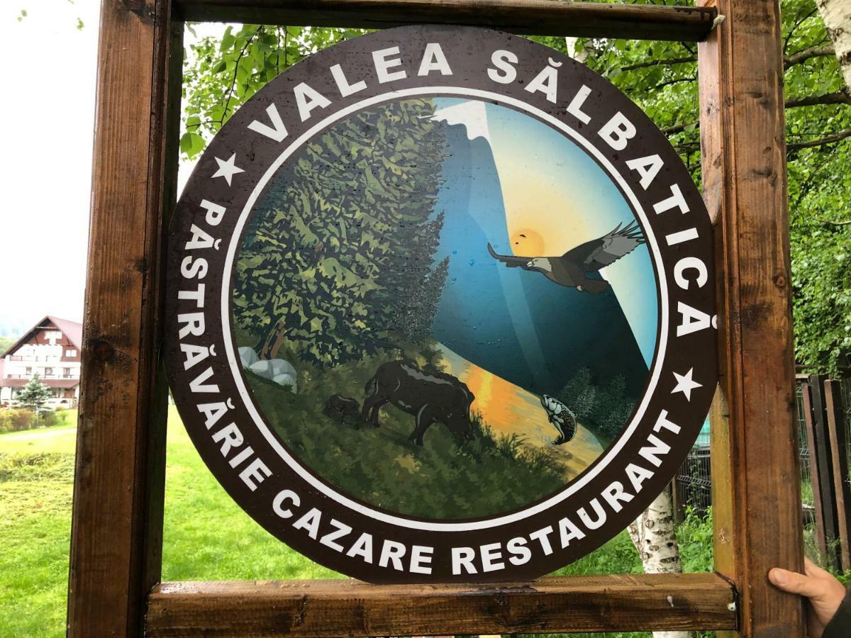 فندق Valea Salbatica Sinca Noua المظهر الخارجي الصورة